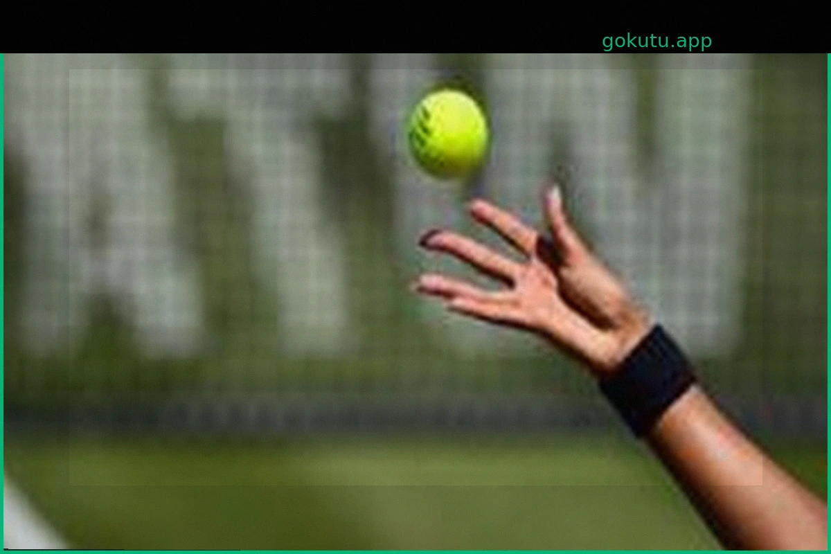 WTA Tour Considers Mandatory Genetic Sex Testing for Players