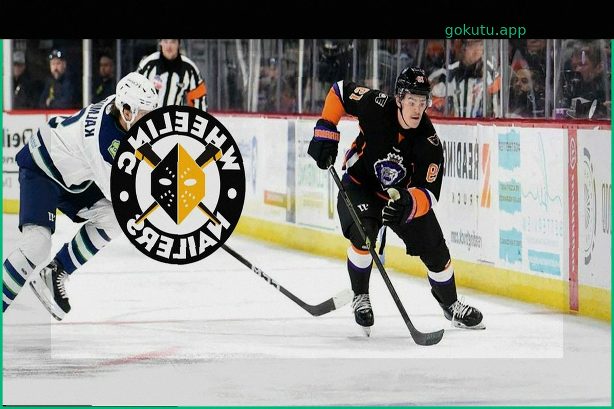 Bannister joins Nailers